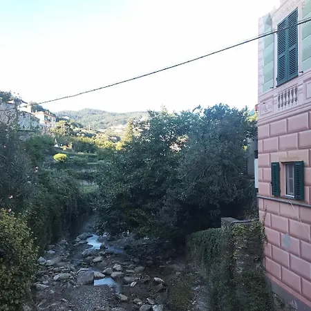 Secret Garden-bike-friendly Home-mandarancio *
