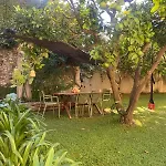 Secret Garden-bike-friendly Home-mandarancio