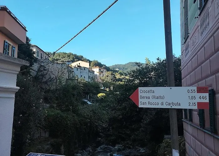 Secret Garden-bike-friendly Home-mandarancio *