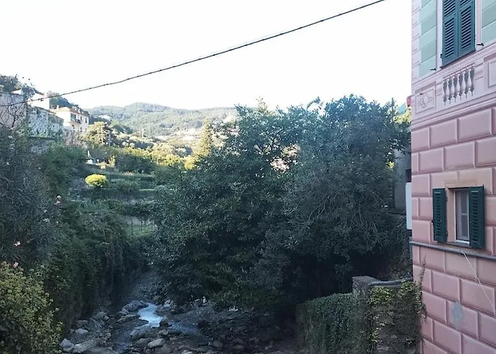 Secret Garden-bike-friendly Home-mandarancio *