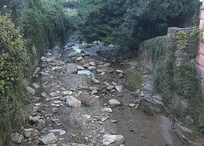 Secret Garden-bike-friendly Home-mandarancio *