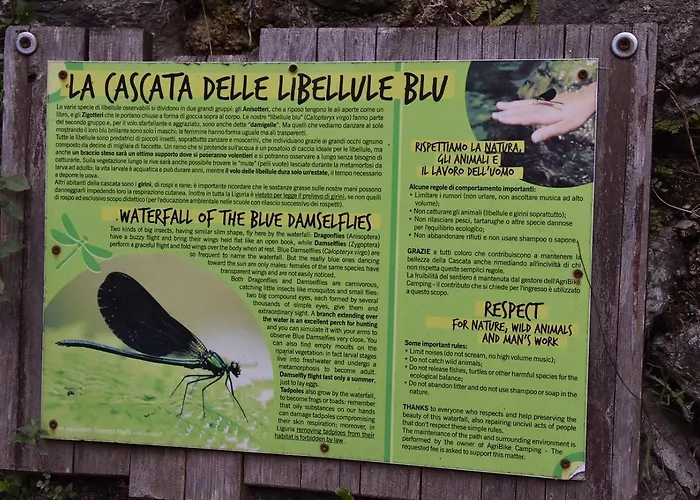 Secret Garden-bike-friendly Home-mandarancio